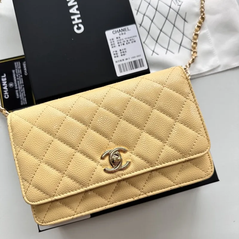 Chanel Satchel Bags-57