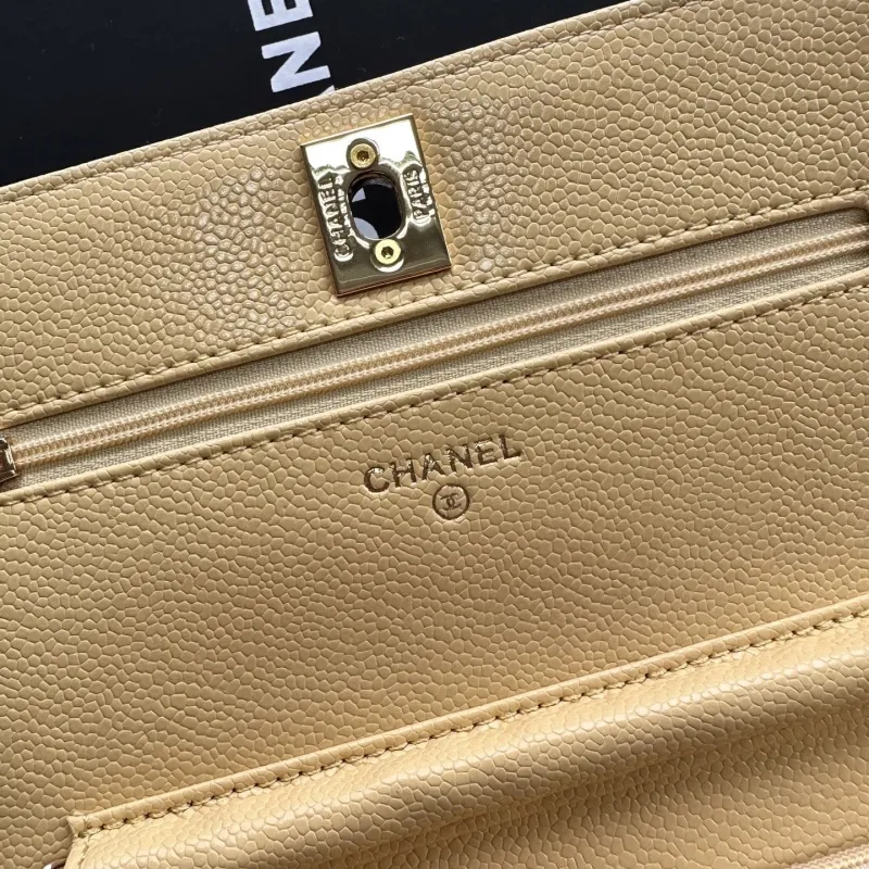 Chanel Satchel Bags-57 - Image 6