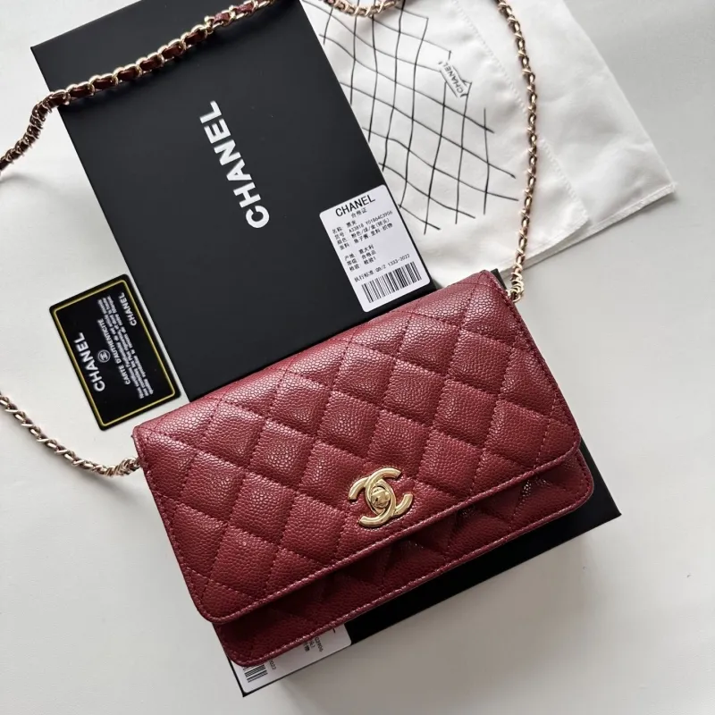 Chanel Satchel Bags-59