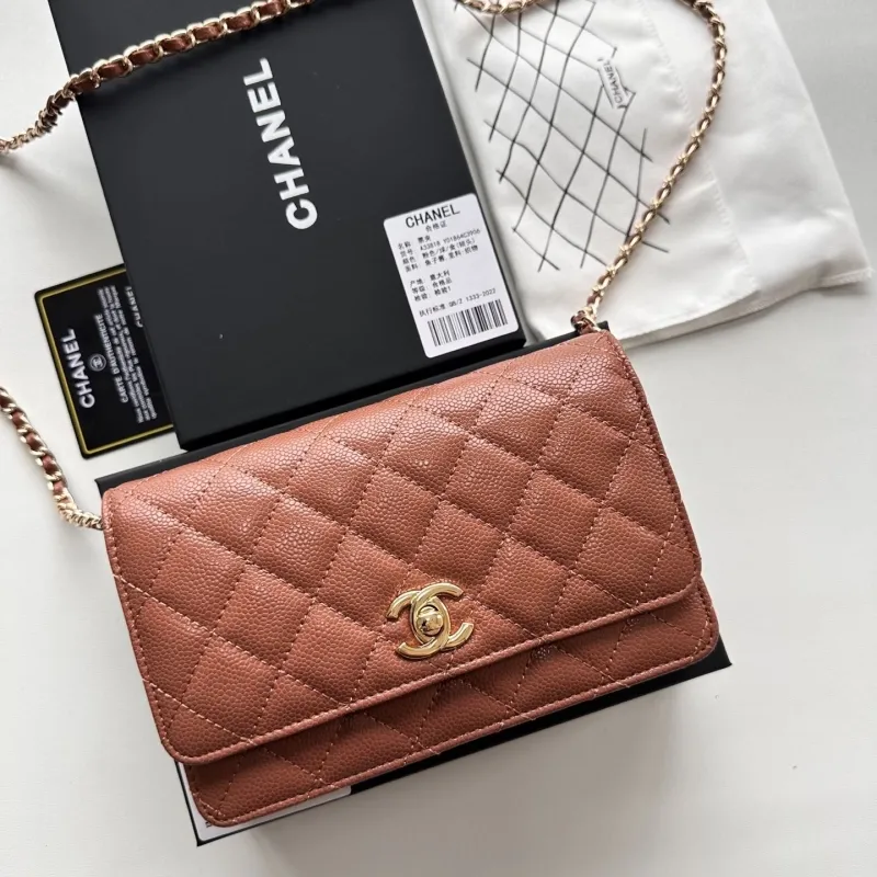 Chanel Satchel Bags-60