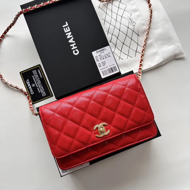 Chanel Satchel Bags-61