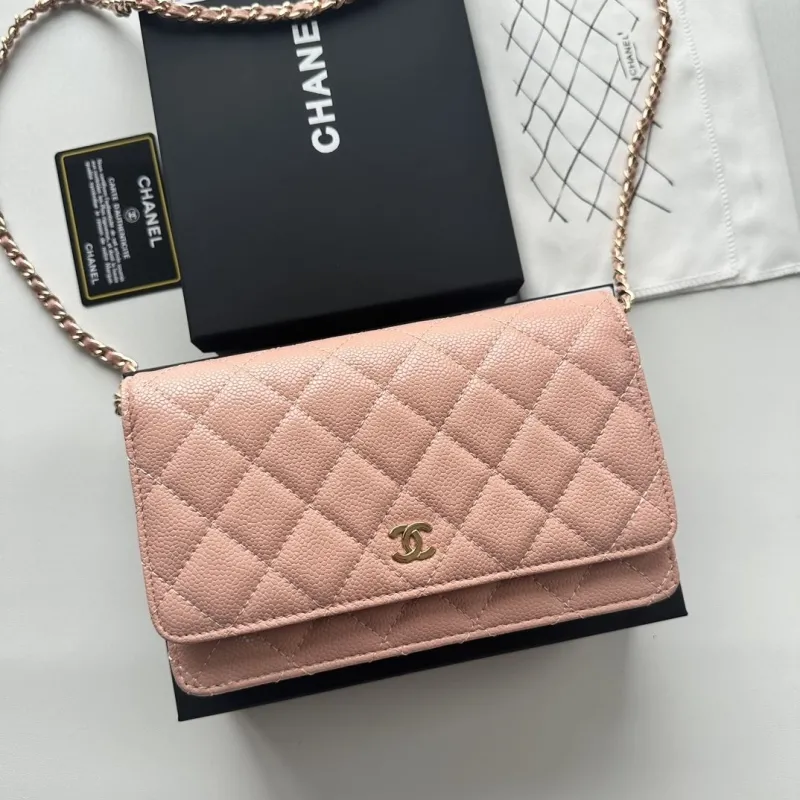 Chanel Satchel Bags-100