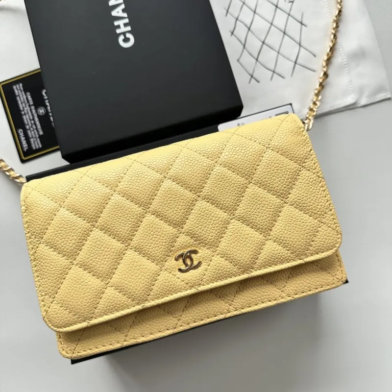 Chanel Satchel Bags-102
