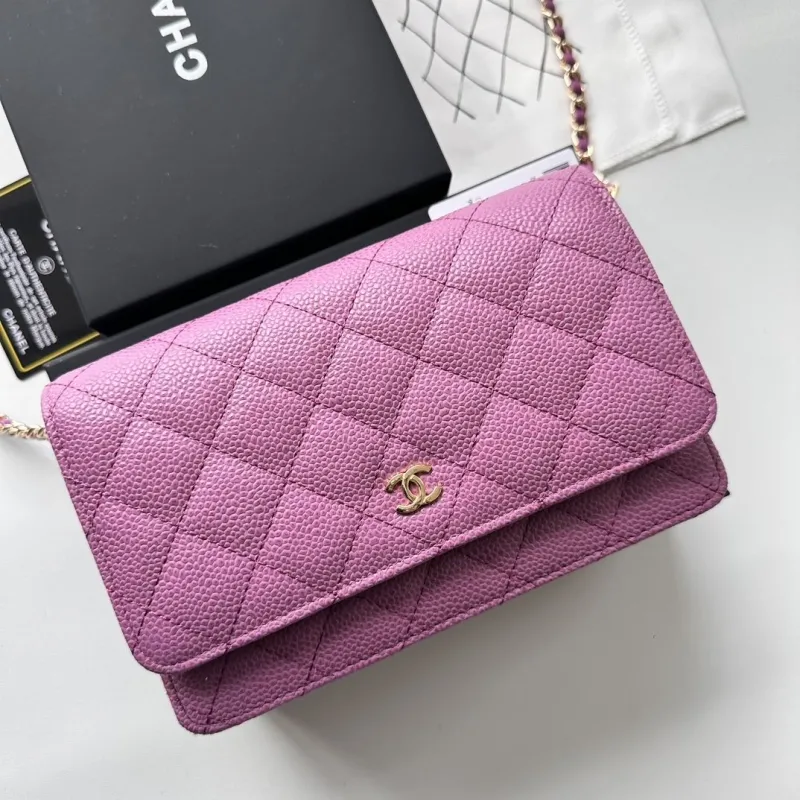 Chanel Satchel Bags-103