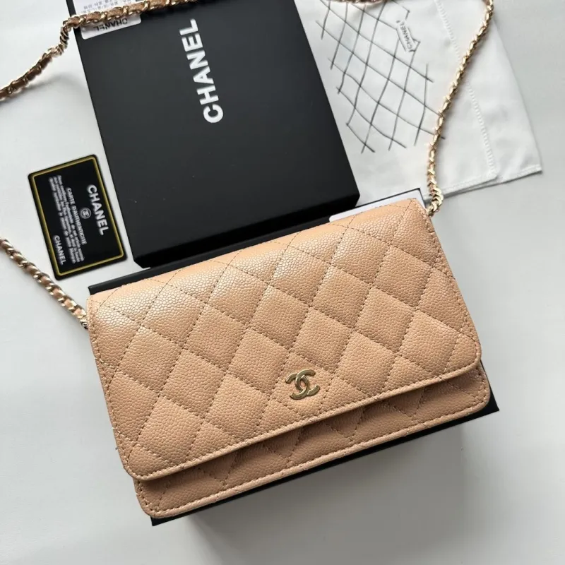 Chanel Satchel Bags-104