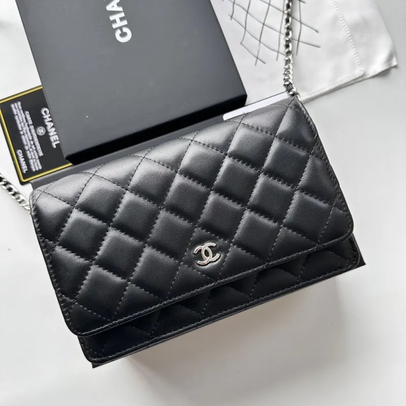 Chanel Satchel Bags-105