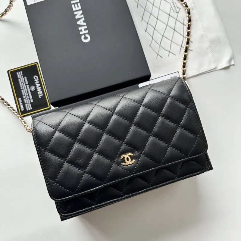 Chanel Satchel Bags-106