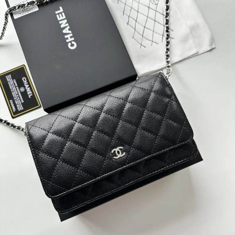Chanel Satchel Bags-107