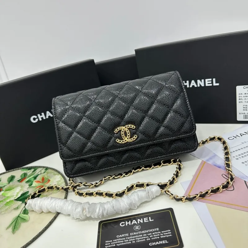 Chanel Satchel Bags-109