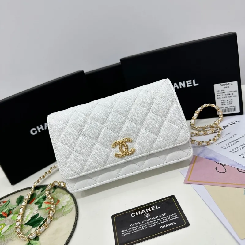 Chanel Satchel Bags-110