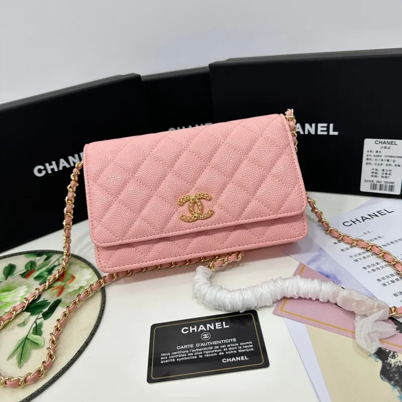 Chanel Satchel Bags-111