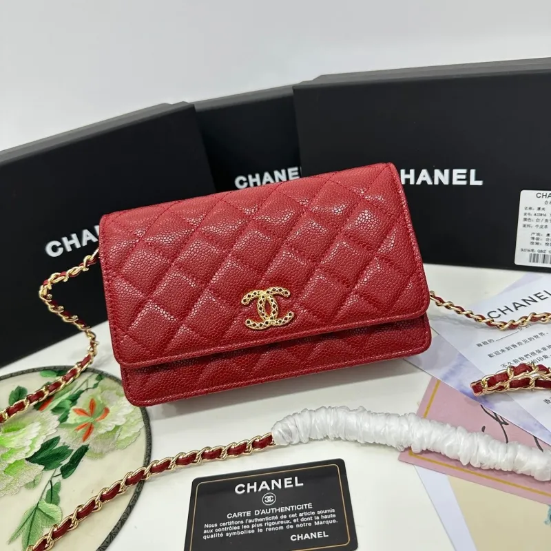 Chanel Satchel Bags-112