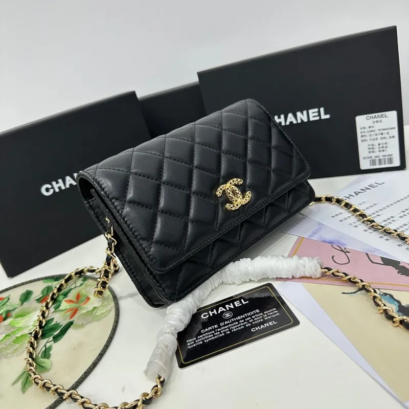 Chanel Satchel Bags-113