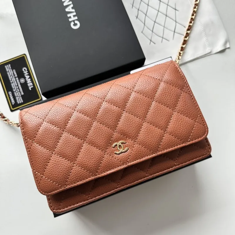 Chanel Satchel Bags-130