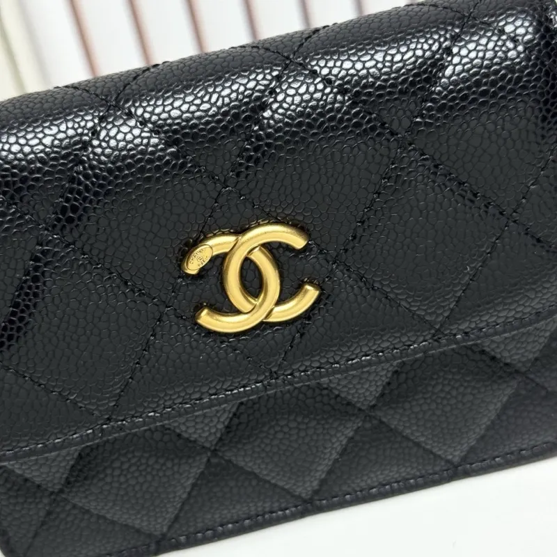 Alternative view of Chanel Satchel Bags-132