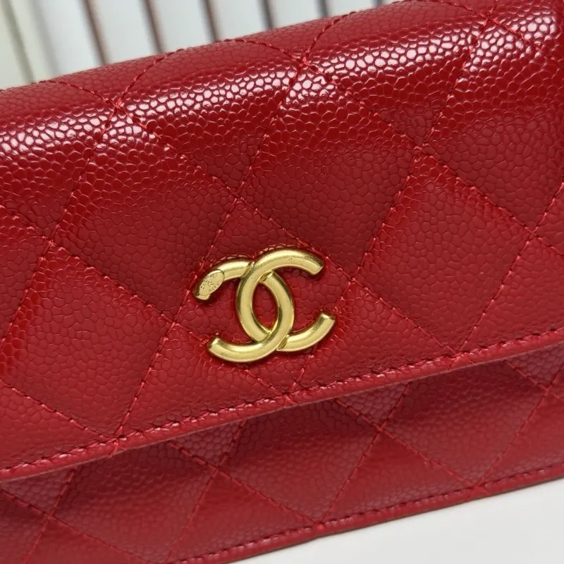 Alternative view of Chanel Satchel Bags-134