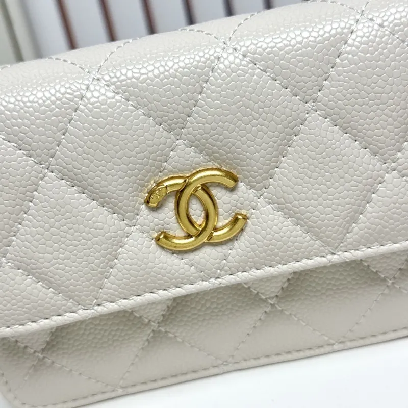 Alternative view of Chanel Satchel Bags-138