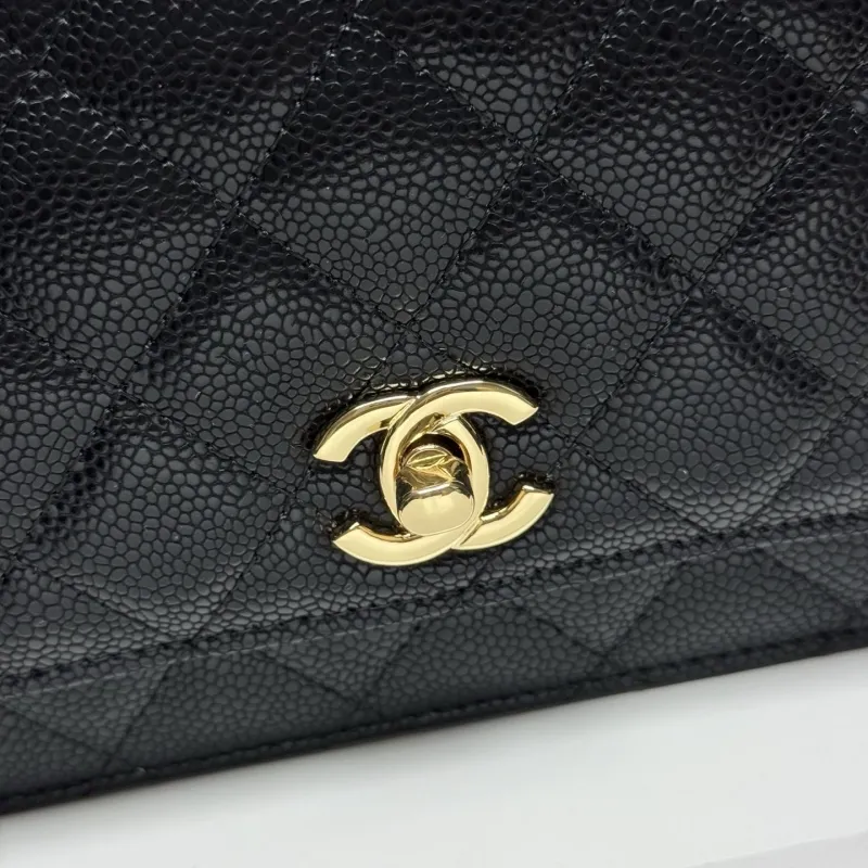 Alternative view of Chanel Satchel Bags-153
