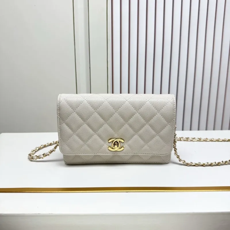 Chanel Satchel Bags-154