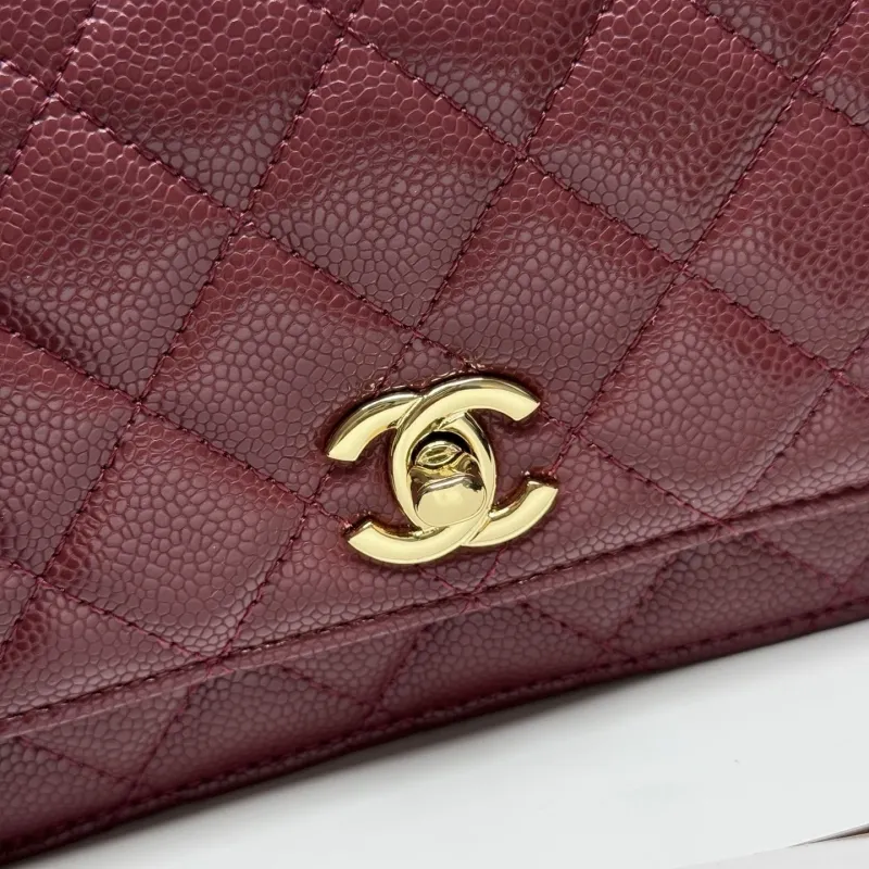 Alternative view of Chanel Satchel Bags-155