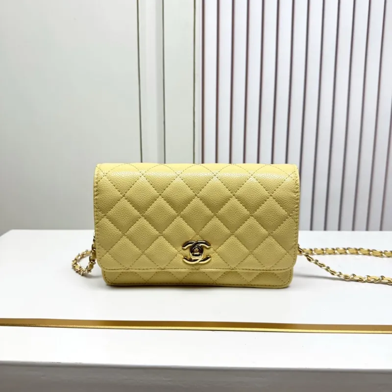 Chanel Satchel Bags-156