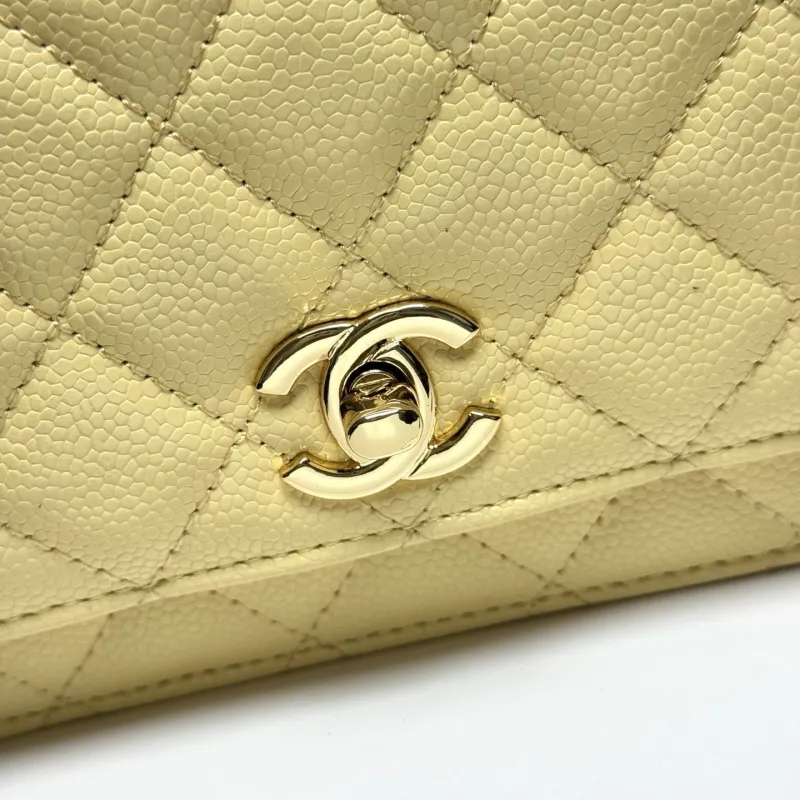 Alternative view of Chanel Satchel Bags-156