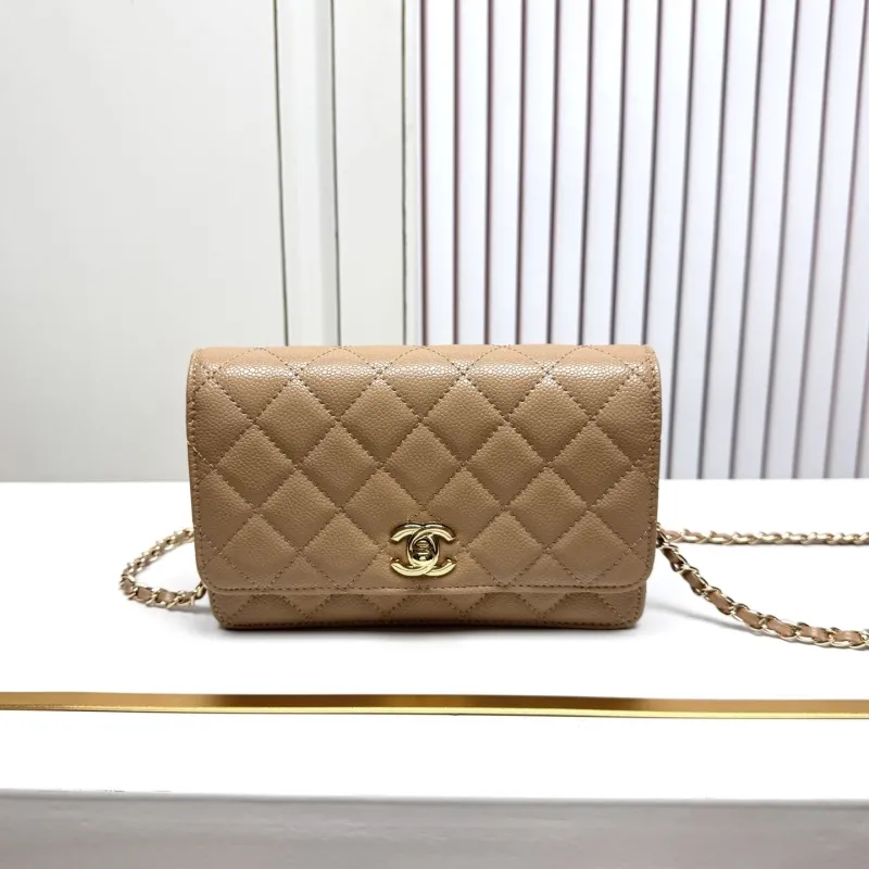 Chanel Satchel Bags-159