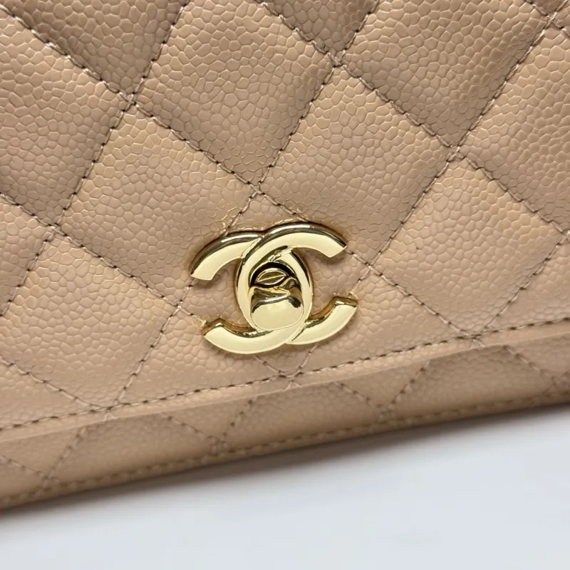 Alternative view of Chanel Satchel Bags-159