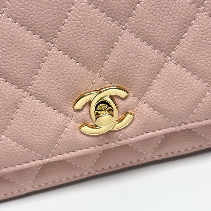 Alternative view of Chanel Satchel Bags-160
