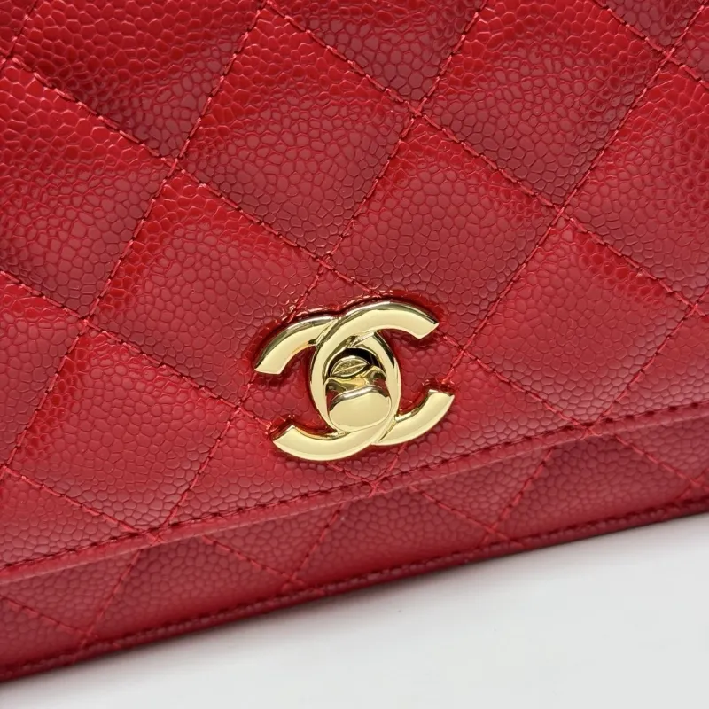 Alternative view of Chanel Satchel Bags-161