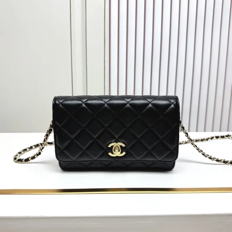 Chanel Satchel Bags-162