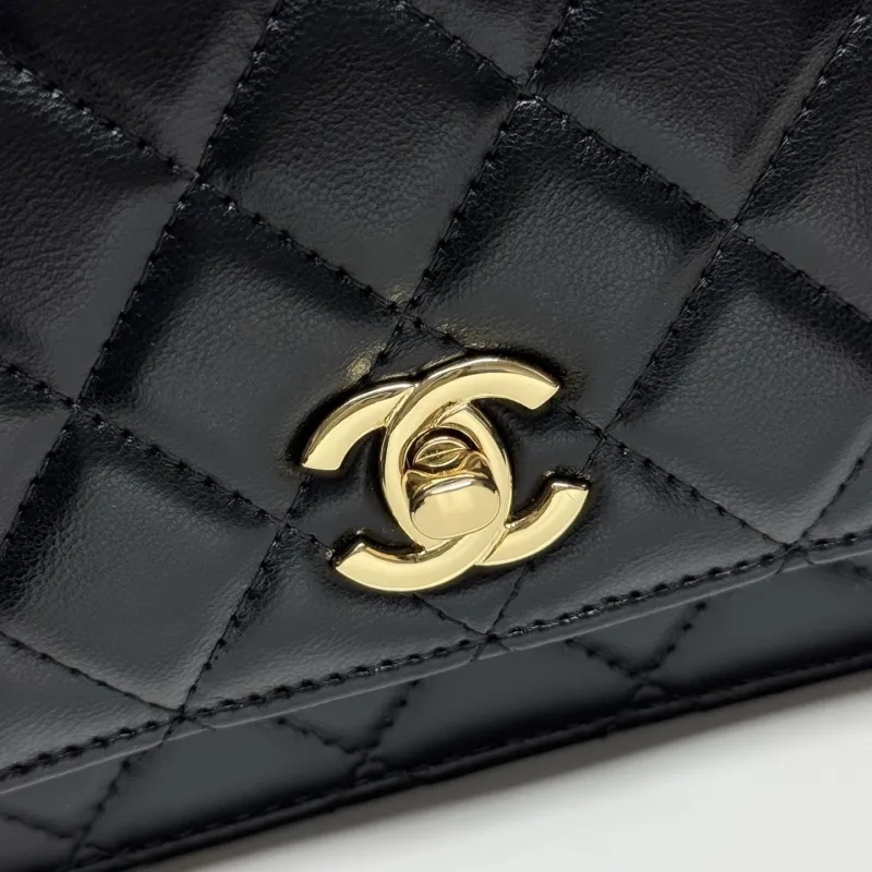 Alternative view of Chanel Satchel Bags-162