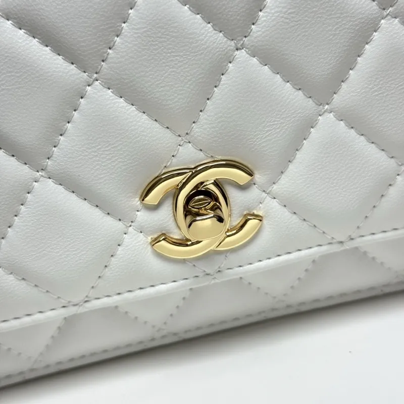 Alternative view of Chanel Satchel Bags-163