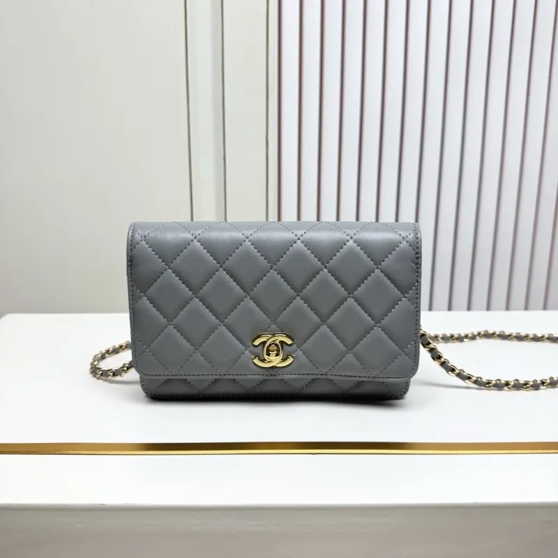 Chanel Satchel Bags-164