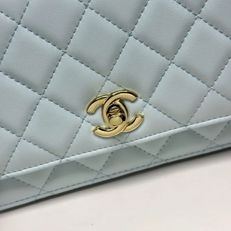 Alternative view of Chanel Satchel Bags-165