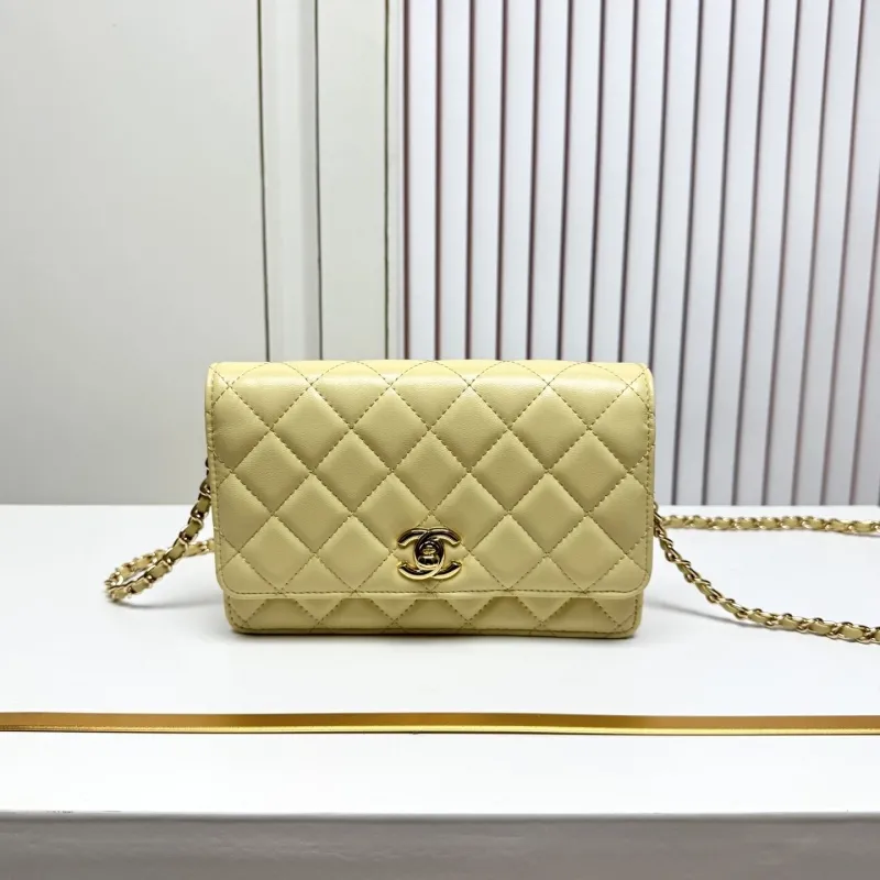Chanel Satchel Bags-167