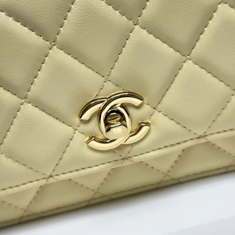 Alternative view of Chanel Satchel Bags-167