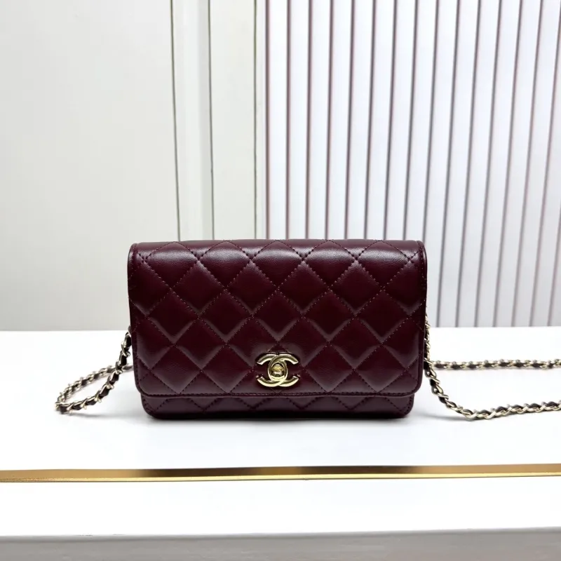 Chanel Satchel Bags-168