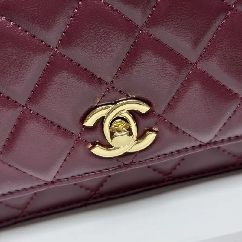 Alternative view of Chanel Satchel Bags-168