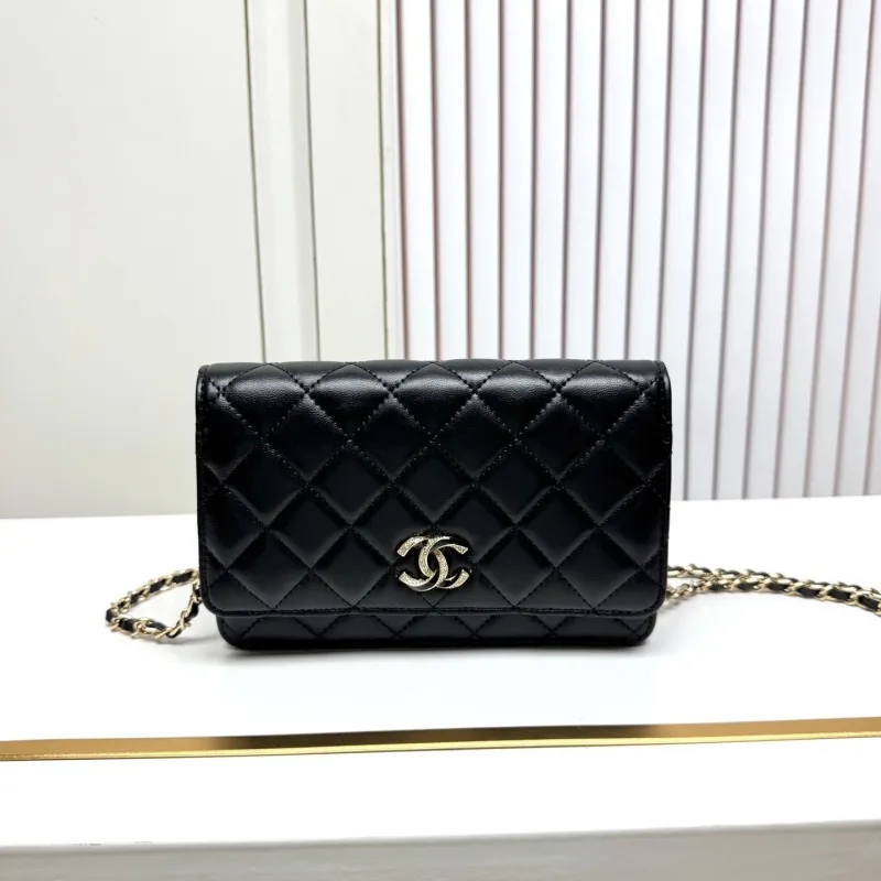 Chanel Satchel Bags-170