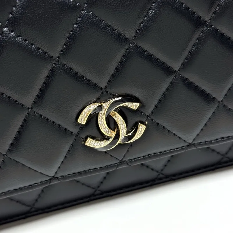 Alternative view of Chanel Satchel Bags-170