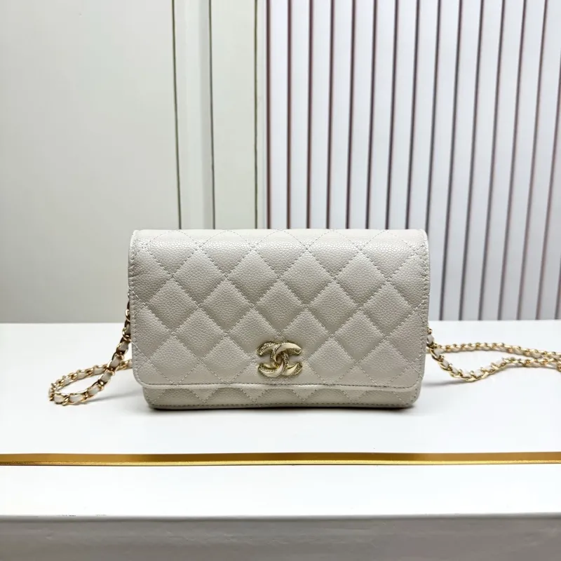 Chanel Satchel Bags-171