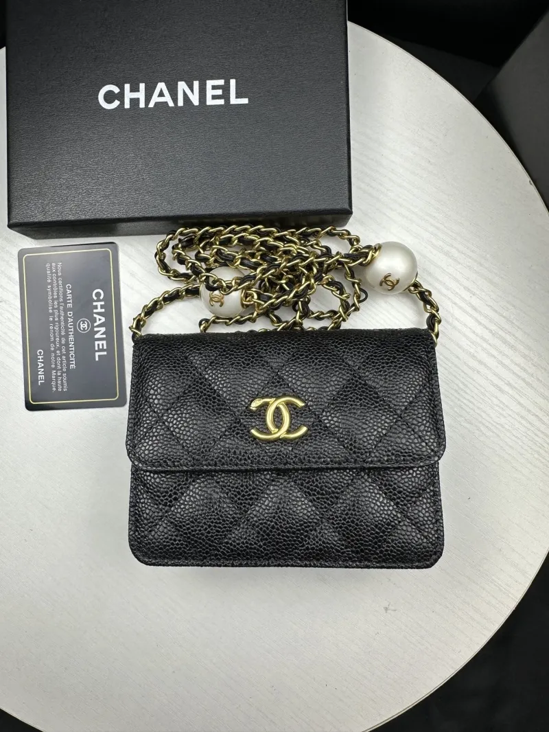 Chanel Satchel Bags-190
