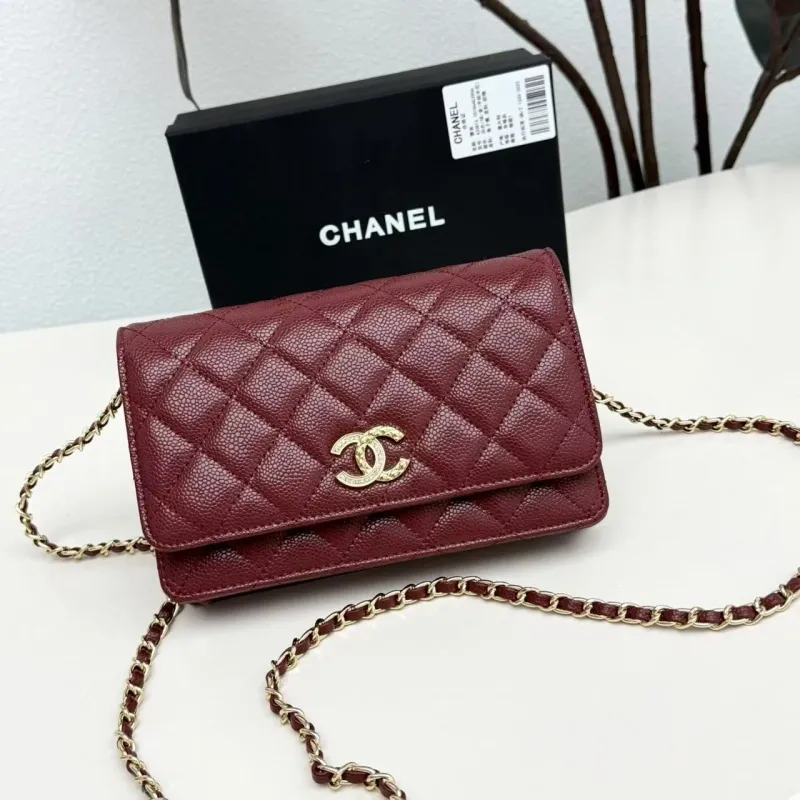 Chanel Satchel Bags-202