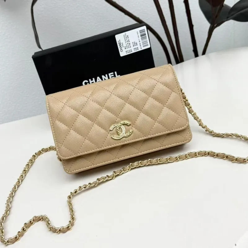Chanel Satchel Bags-203