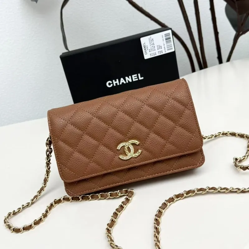 Chanel Satchel Bags-205