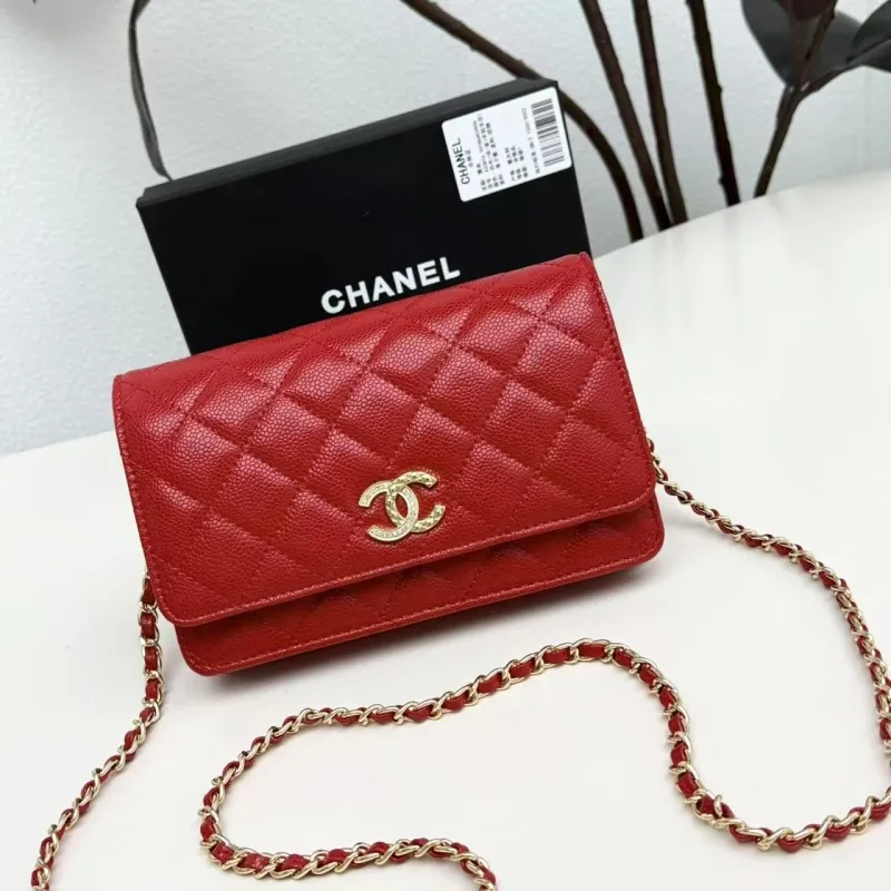 Chanel Satchel Bags-207