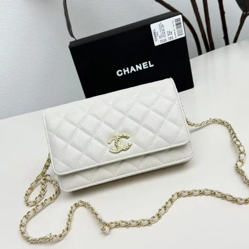 Chanel Satchel Bags-208
