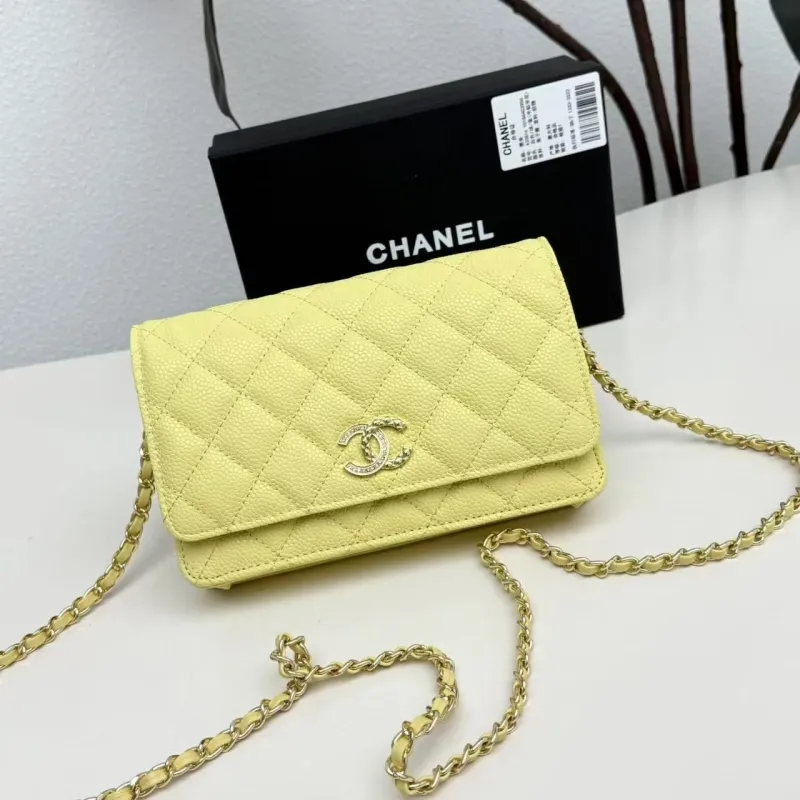 Chanel Satchel Bags-209