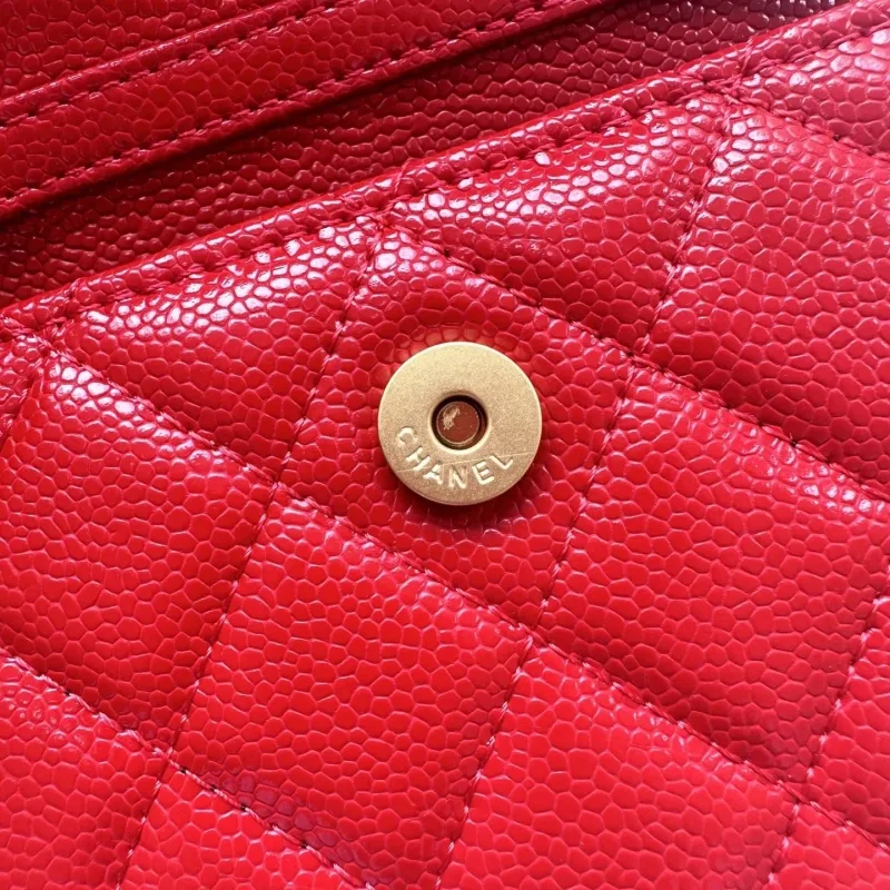 Alternative view of Chanel Satchel Bags-210